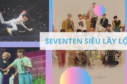 Đi xem concert của Seventeen: Âm nhạc là cái cớ thôi, chủ yếu xem 13 chàng… diễn tấu hài