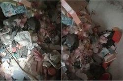 Chủ nhà trọ 'ngã ngửa' với căn phòng ngập rác, bốc mùi đến kinh hoàng của nữ sinh Hà Nội