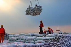 Trung Quốc bất ngờ ngừng mua nông sản Mỹ