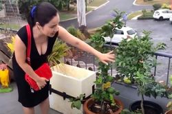 Không gian nhà của MC Cát Tường ở Australia