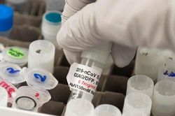 Hợp tác tìm vaccine phòng Covid-19