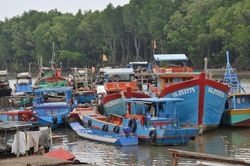 Xu hướng ứng phó toàn cầu
