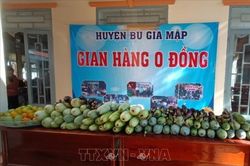 Hỗ trợ người dân gặp khó khăn do ảnh hưởng dịch COVID-19