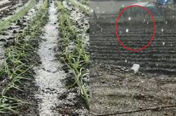 Mưa đá dữ dội gây ngập úng nhiều mảnh vườn ở Trung Quốc