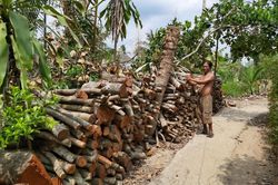 Tiêu điều thủ phủ trái cây