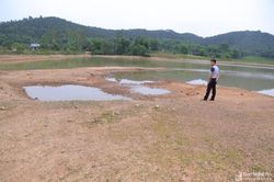 Nghệ An: Khoảng 13.000 ha lúa hè thu bị hạn, thiếu nước