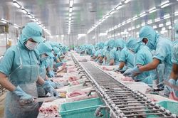 Thực thi Hiệp định EVFTA - nâng cao năng lực phòng vệ thương mại