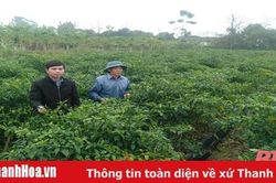 'Dân vận khéo' trong xây dựng nông thôn mới ở xã Tuy Lộc