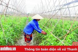 Bài 1: Tạo sức hút để doanh nghiệp đầu tư vào nông nghiệp