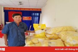 Khi hợp tác xã xây dựng thương hiệu gạo an toàn
