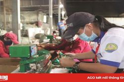 Bồi đắp tình yêu quê hương