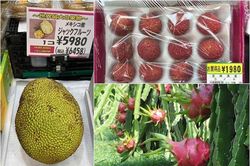 Mít, vải... ở Việt Nam rẻ bèo, xuất sang Nhật 'đắt như vàng'