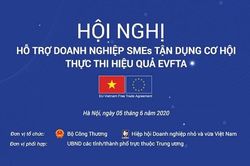 Hội nghị quy mô lớn về hỗ trợ DNNVV tận dụng cơ hội, dự phòng thách thức từ EVFTA