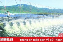 Sức sống mới trên quê hương Hòa Lộc