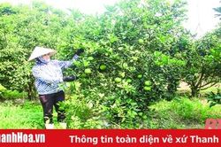 Bài 3: Tích tụ, tập trung đất đai tạo thuận lợi cho sản xuất quy mô lớn