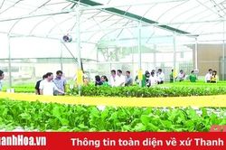 Huyện Đông Sơn: Sức lan tỏa từ các phong trào thi đua yêu nước