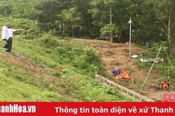 34 trọng điểm đê điều chưa bảo đảm an toàn trong mùa mưa bão năm 2020