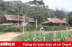 Huyện Bá Thước phát triển sản phẩm OCOP