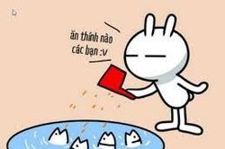 Những bí kíp 'Thả thính chân kinh' đốn tim người mình thương