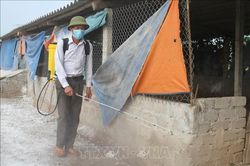 Ngăn chặn sự lây lan của dịch cúm gia cầm