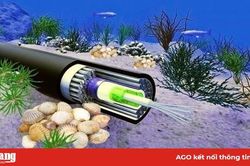 Sự cố cáp quang biển AAG đã được khôi phục hoàn toàn