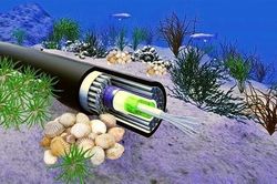 Sự cố cáp quang biển AAG đã được khôi phục hoàn toàn