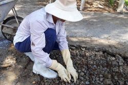 Thư gửi robot Citizen: Lao động công ích