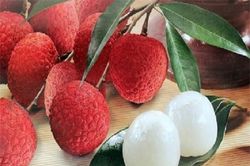 Bí quyết chọn mua vải không sâu đầu lại mọng nước