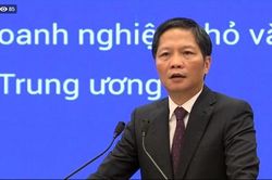 Cộng đồng DNVVN phải thực sự trở thành chủ thể, là những người được thụ hưởng EVFTA