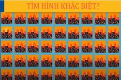 Chỉ những người có đôi mắt tinh anh mới tìm ra đáp án đúng trong 10 giây