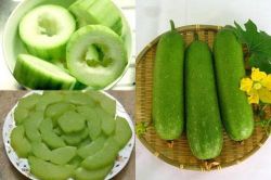 Những công dụng bất ngờ từ quả bí đao, số 1 nhiều người 'mê tít'