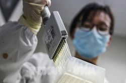 Dịch COVID-19: Canada tiêm chủng trên diện rộng khi có vaccine