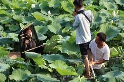 Rủ nhau đội nắng 40 độ C chụp ảnh bên hoa sen, mải mê đến nỗi suýt lật cả thuyền