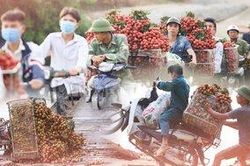 Dở khóc dở cười cảnh người dân vồ ếch, cắm đầu xuống sông khi chở vải qua cầu phao 'tử thần'