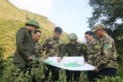 Nhân ngày Môi trường thế giới (5/6): Bảo tồn để phát triển bền vững đa dạng sinh học