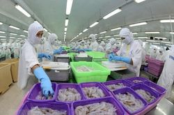 Lợi thế xuất khẩu tôm theo EVFTA: Việt Nam 0%, Thái Lan 12%