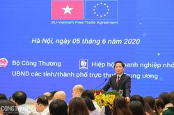 'Bộ Công Thương chủ động triển khai từng bước ngay khi EVFTA đang trong quá trình hoàn tất hồ sơ phê chuẩn'