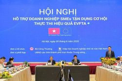 Hỗ trợ doanh nghiệp tận dụng cơ hội, thực thi hiệu quả EVFTA
