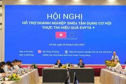 Tận dụng cơ hội, thực thi hiệu quả EVFTA