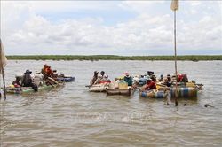 Rừng phòng hộ ven biển mới trồng ở Sóc Trăng bị ảnh hưởng do khai thác nghêu, sò huyết giống