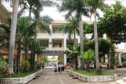 Bảo đảm an toàn cây xanh trong trường học