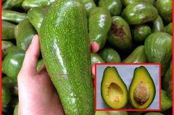 Mẹo chọn bơ sáp chuẩn ngon, đừng vội nhặt quả to mà phí tiền
