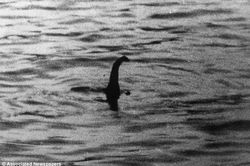 Tìm ra hang ổ của quái vật hồ Loch Ness?