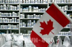 Kinh tế Canada cần ít nhất nửa năm để khởi động lại một cách an toàn