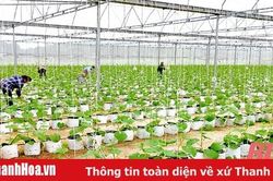 Khởi sắc miền Tây xứ Thanh
