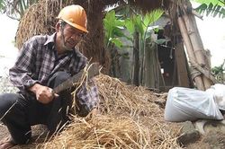 Biến rơm rạ thành phân hữu cơ phục vụ sản xuất nông nghiệp sạch