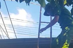 Dỡ mái tôn, đu dây khoắng sạch tiệm vàng rồi trốn ra Hà Nội