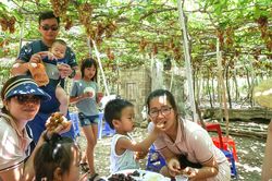 Dạy con cũng lắm công phu