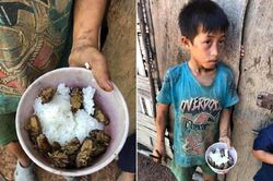 Lãnh đạo huyện nói gì về vụ 4 anh em ăn cơm nguội với ve sầu ở Đắk Lắk?