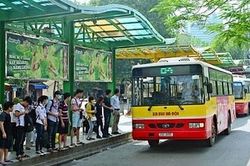 Hà Nội mở mới 30 tuyến buýt trợ giá năm 2020